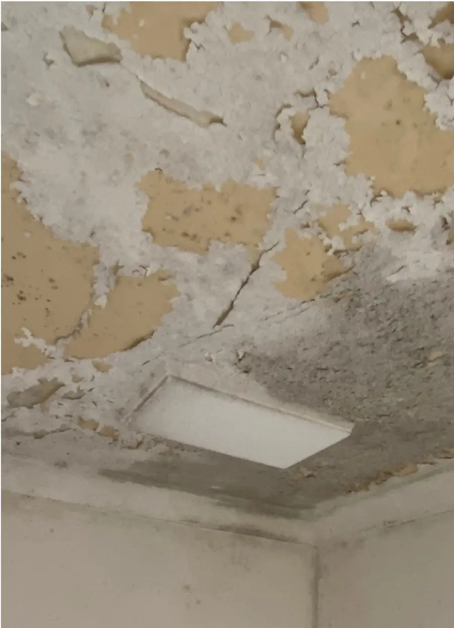 A ceiling before repair, with paint peeling away in patches to bare plaster, a crack running across it and dark staining around a ceiling panel
