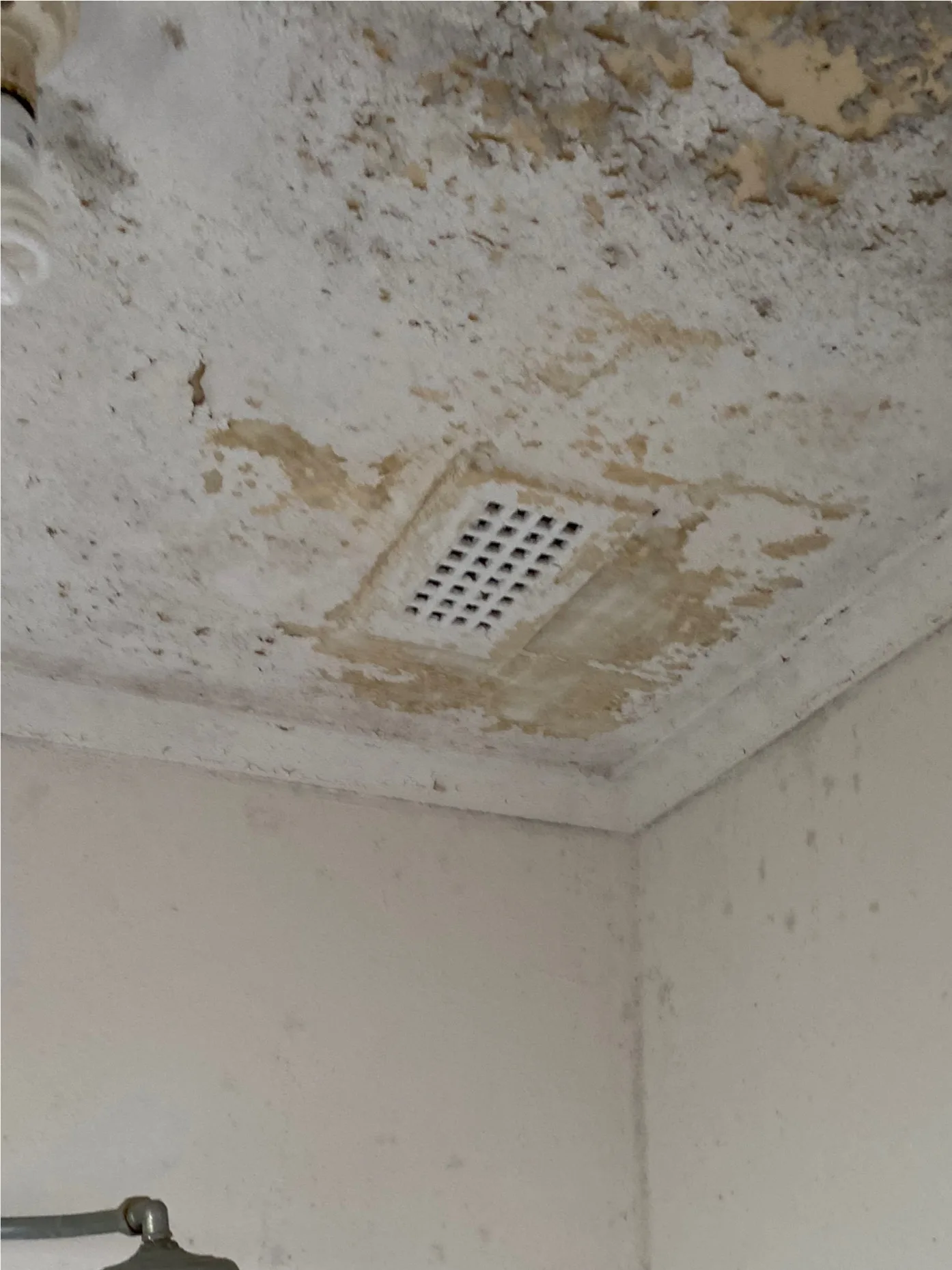 Mould and lifting paint across a bathroom ceiling in Oakleigh before treatment, with water staining spreading out from the exhaust vent