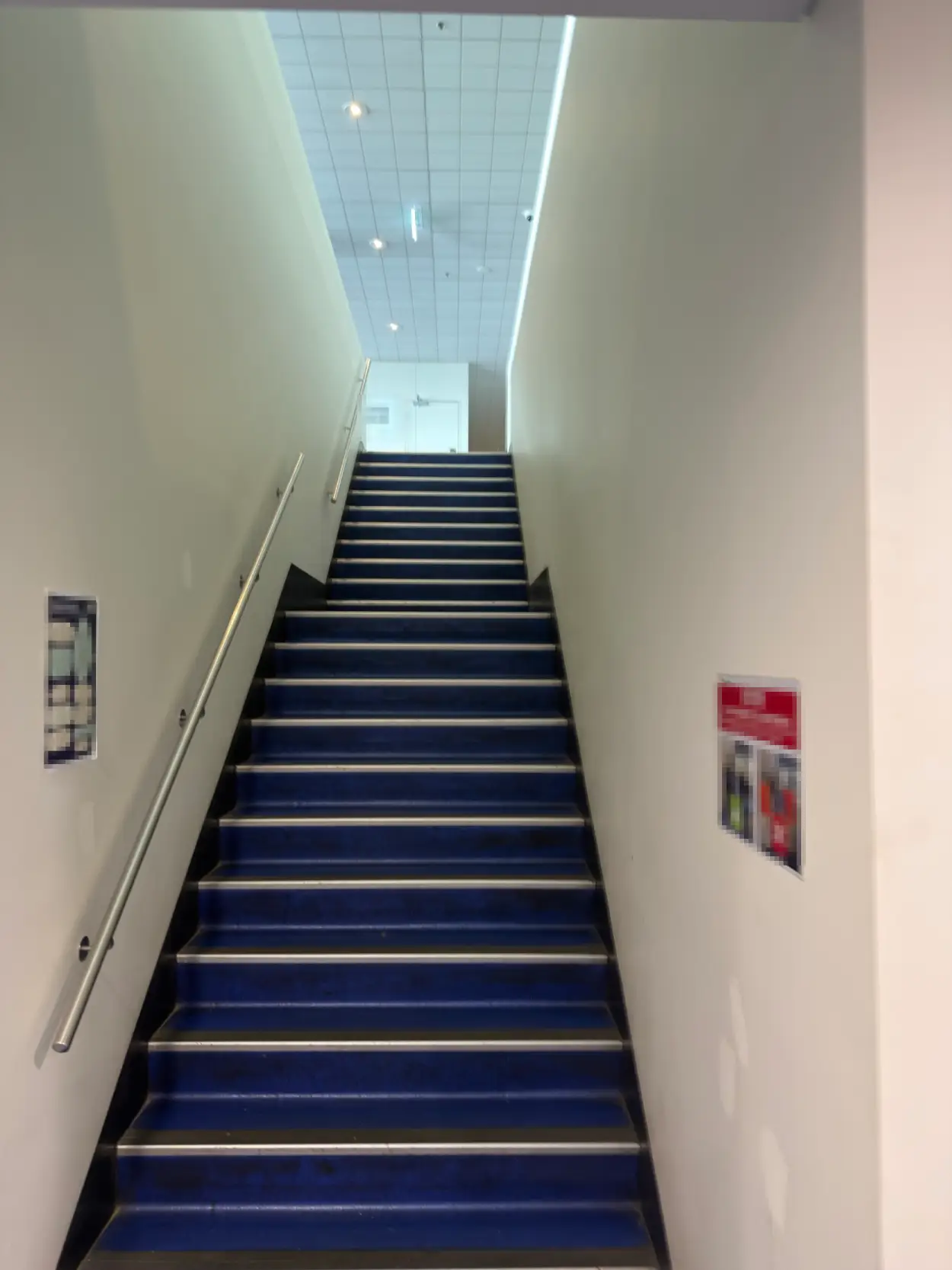 Back-of-house commercial stairwell in Braeside after repainting, with white walls and stainless handrails above blue carpeted treads