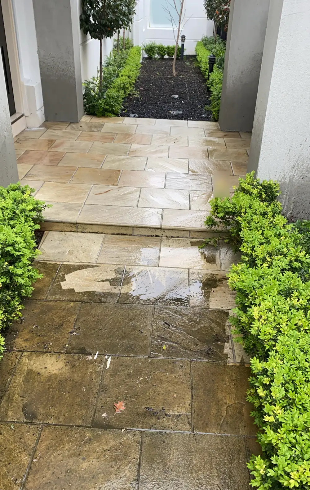 Sandstone paving at a Caulfield home part-way through pressure washing, the cleaned slabs at the top pale and even and the untouched slabs below dark with grime and organic growth