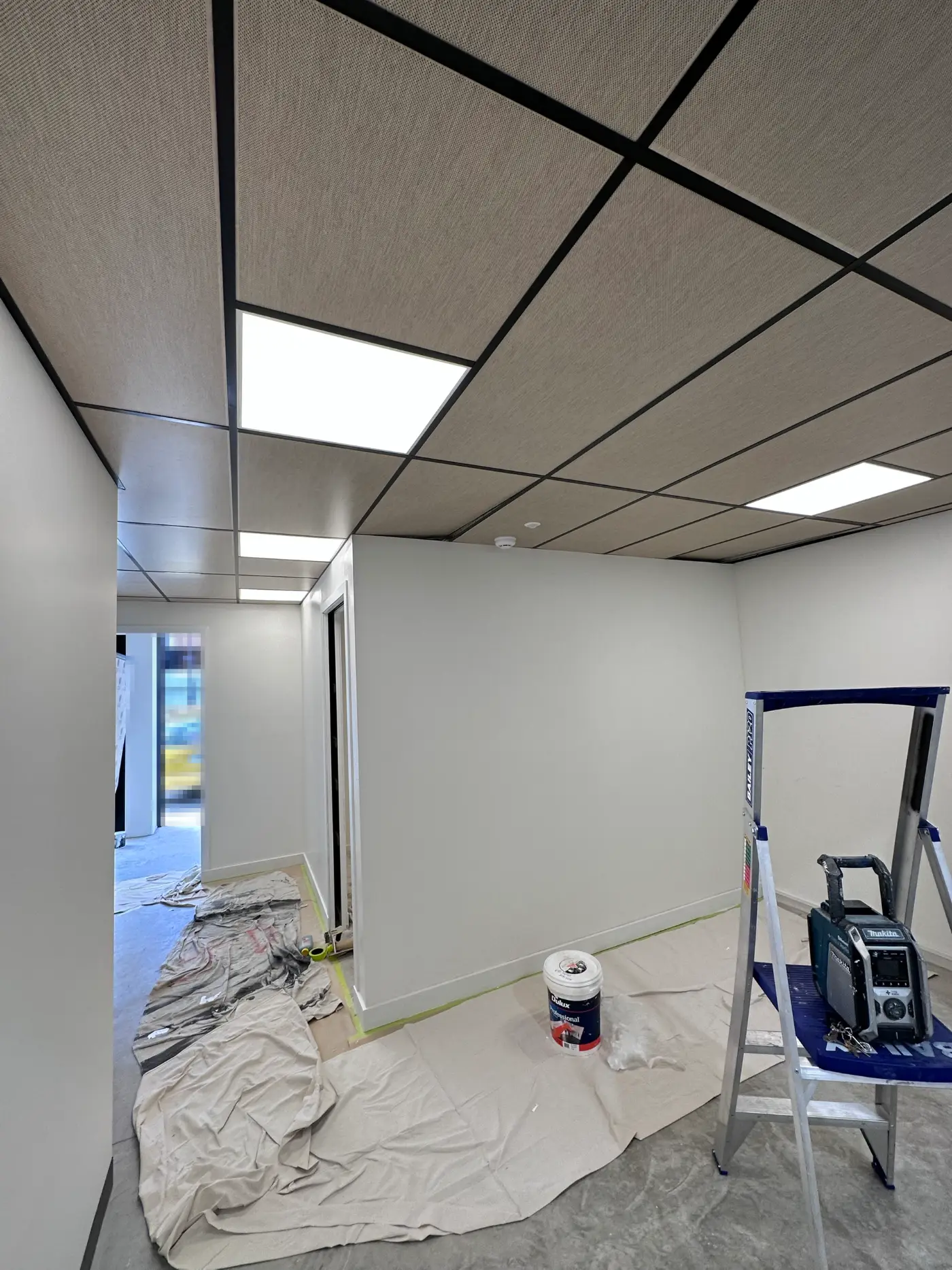 Commercial office corridor in Highett mid-repaint, with freshly painted white walls below a suspended acoustic ceiling grid, and the floor sheeted for protection