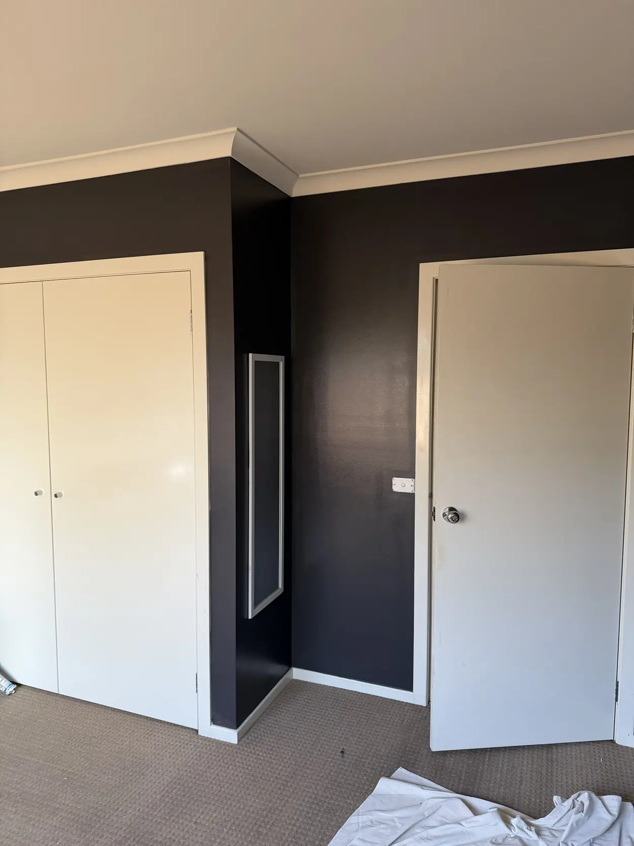 Bedroom with walls in a deep charcoal, a white built-in wardrobe, white door, architraves, skirting and cornice, and a white ceiling