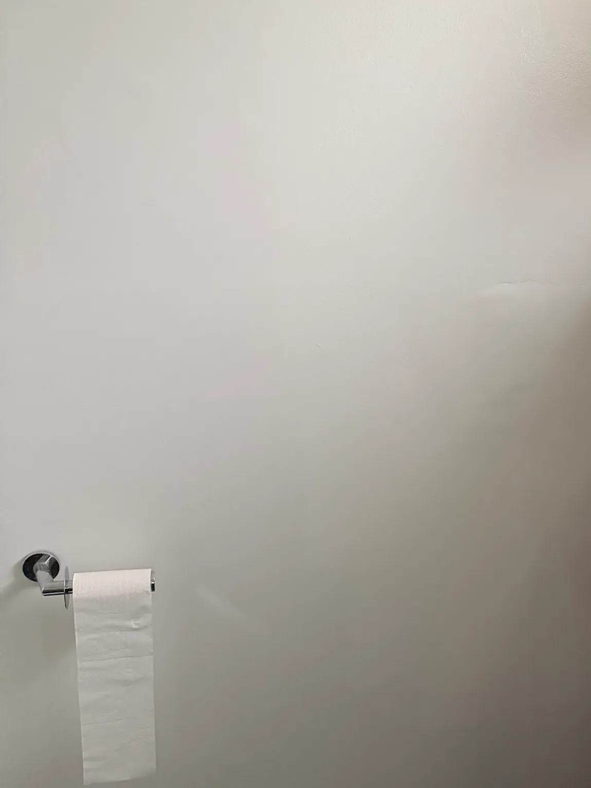 The same Mentone bathroom wall after the repair was painted, an even white wall above a toilet roll holder