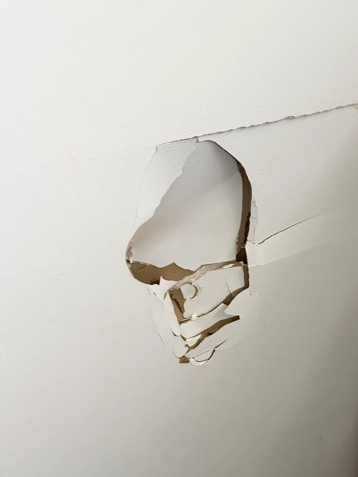 A hole through the plasterboard of a bathroom wall in a Mentone home, with a split running off it along the sheet