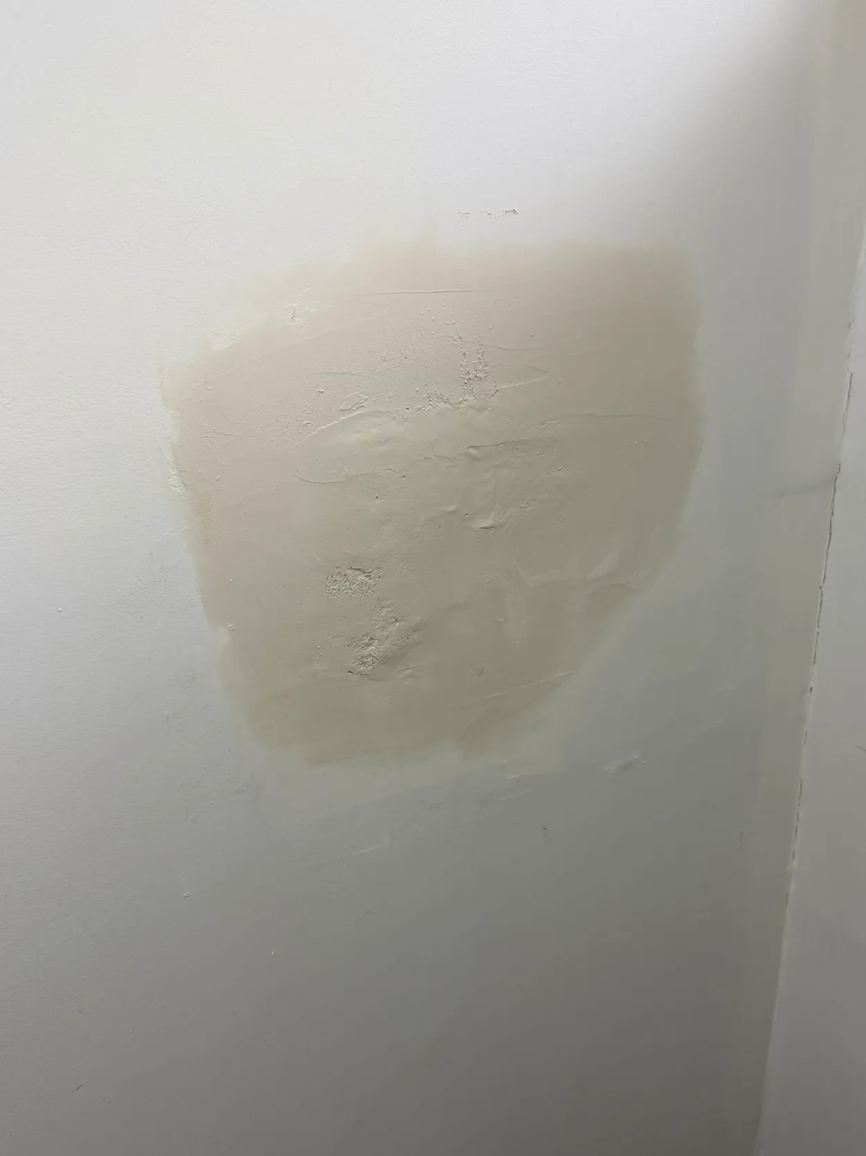 The same Mentone bathroom wall with the damaged area filled and set, before painting