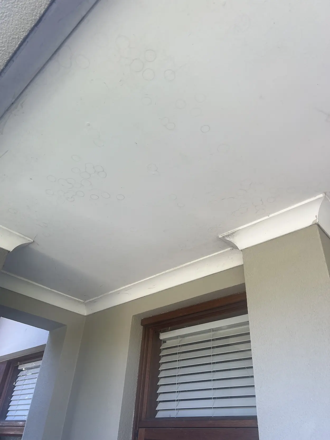 Porch ceiling at a Parkdale home marked with dozens of ring-shaped stains, above rendered piers and timber-framed windows