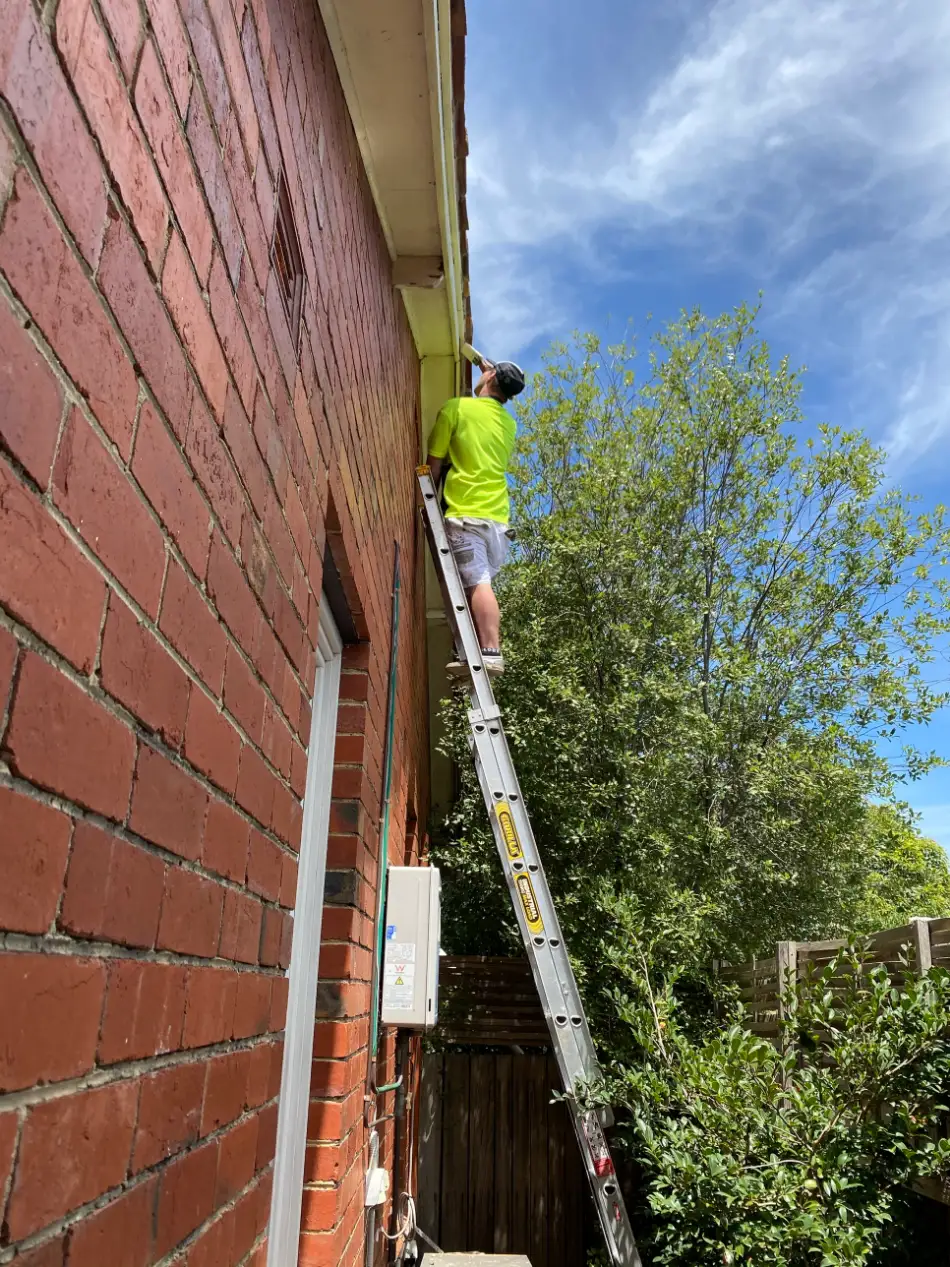 Painter on an extension ladder cutting in fascia and eaves against a red brick wall on a Sandringham home